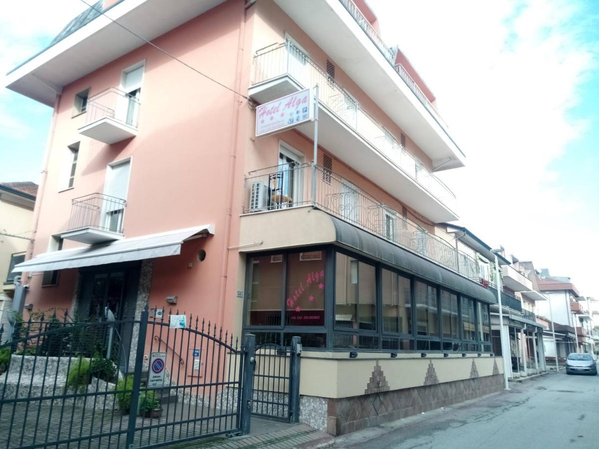 Hotel Alga Bellaria-Igea Marina